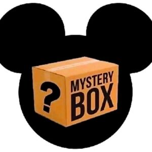 Disney Mystery Box Mix Of Women's, Men's, Kid's Attire From My Closet/Inventory